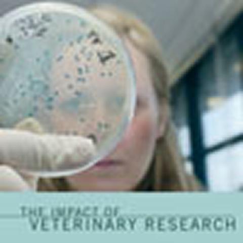 The Impact of Veterinary Research: new RCVS publication launched