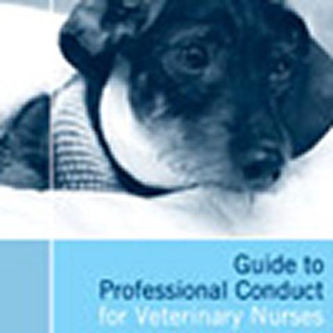 VN Guide to Professional Conduct 2008 now available