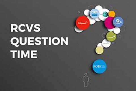 RCVS: Question time