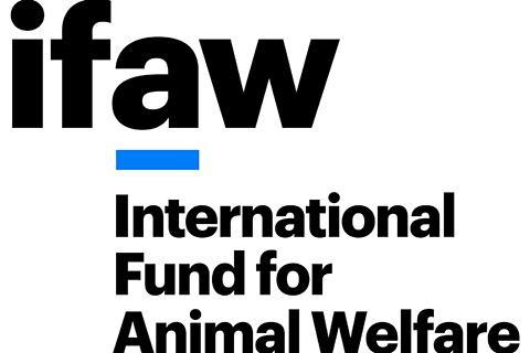 IFAW logo