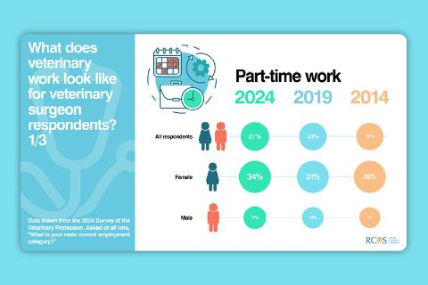 Front cover of 2024 Survey of the Veterinary Profession report 