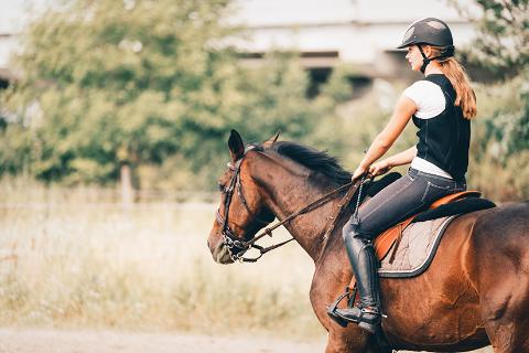 Woman on a horse at a riding establishment 