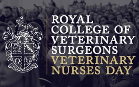 VN Day logo