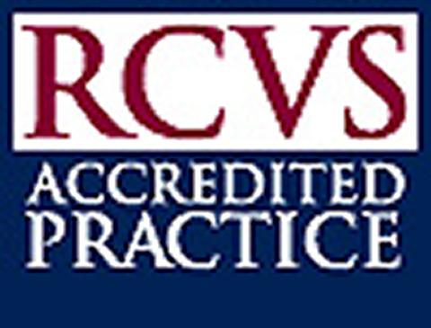 New accreditation scheme vets UK veterinary practices