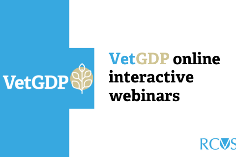VetGDP online interactive webinars