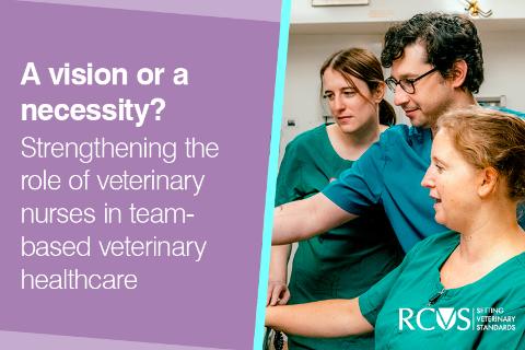 'VN Vision - strengthening the role of veterinary nurses in team-based veterinary healthcare' text in white on purple background on left of image, with three VNs working on the right