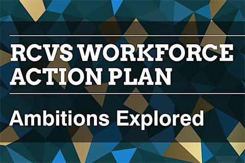 RCVS Workforce Action Plan Ambitions graphic