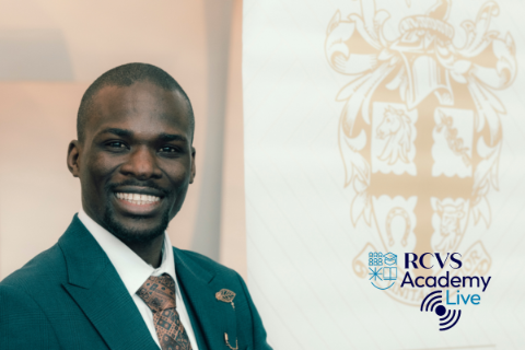 RCVS Academy Live