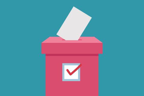 Ballot box for RCVS Council and VN Council elections 