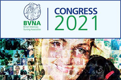 bvna