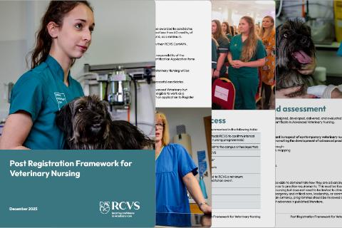 Front cover of the Post Registration Framework for Veterinary Nurses 
