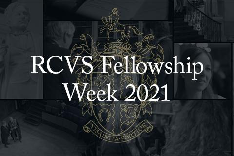 RCVS Fellowship Week 2021