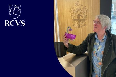 Picture of Vicki Bolton, podcast guest, holding a tiny bathtub - a metaphor used in the first RCVS podcast episode
