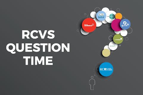 RCVS Question time