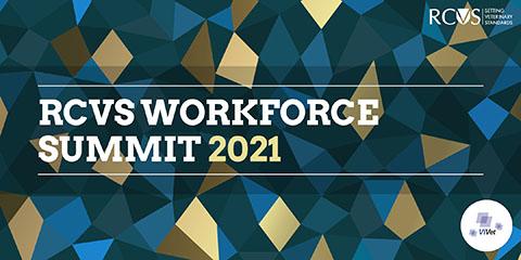 RCVS ViVet Workforce Summit 2021