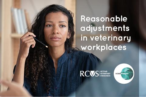 Reasonable adjustments webinar
