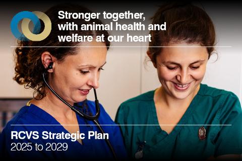 RCVS Strategic Plan 2025 to 2029 
