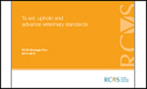 New strategic direction
