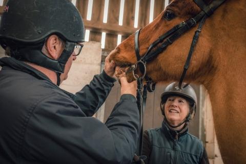 Two vets and a horse