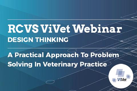 ViVet webinar graphic