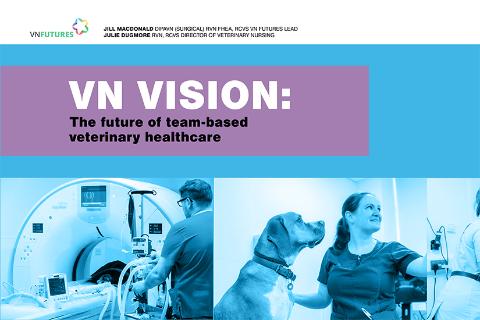 VN Vision: the future of team-based veterinary healthcare snapshot report front cover