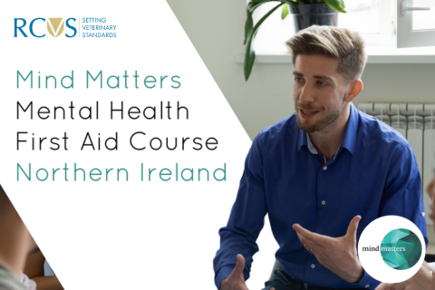 MHFA course - NI