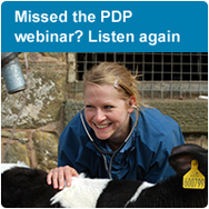 PDP webinar