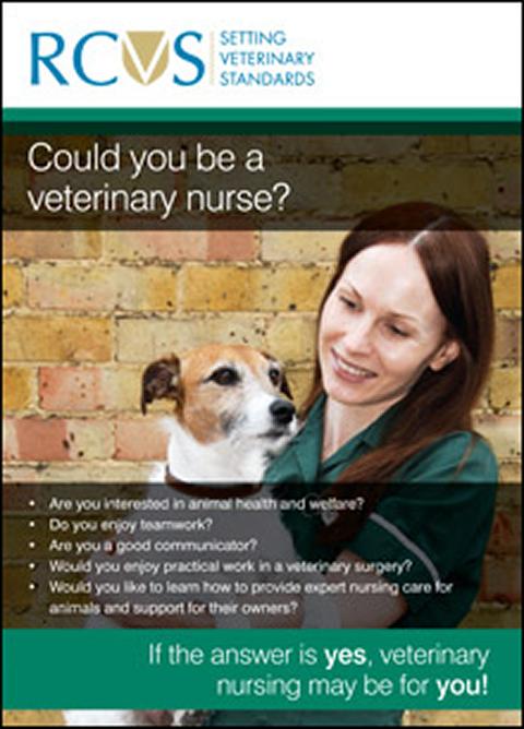 Could you be a veterinary nurse?