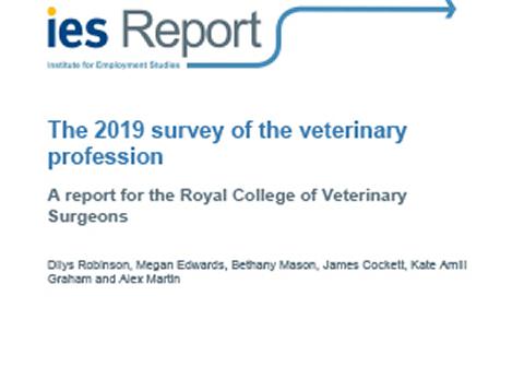 The 2019 Survey of the Veterinary Profession 