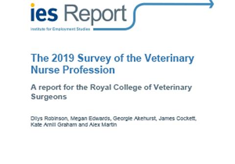 The 2019 Survey of the Veterinary Nursing Profession 