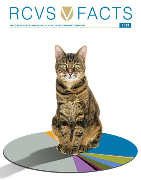 RCVS Facts 2019 Cat sitting on a on pie chart front cover
