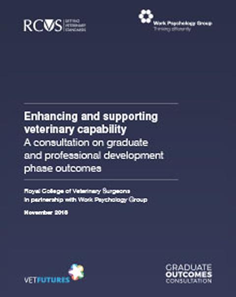 Graduate Outcomes Consultation (November 2018)