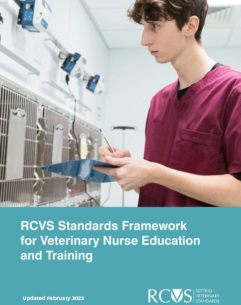 VN Standards Framework