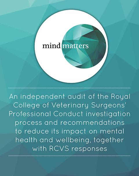 Cover of the Open Minds Report