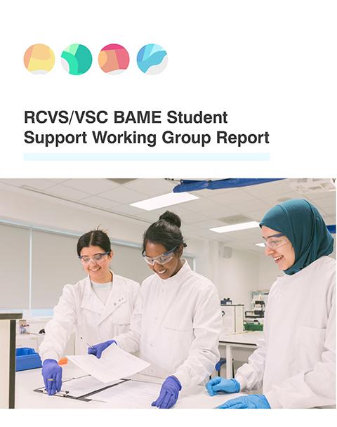 Front cover of the RCVS/VSC BAME Student Support Working Group Report 