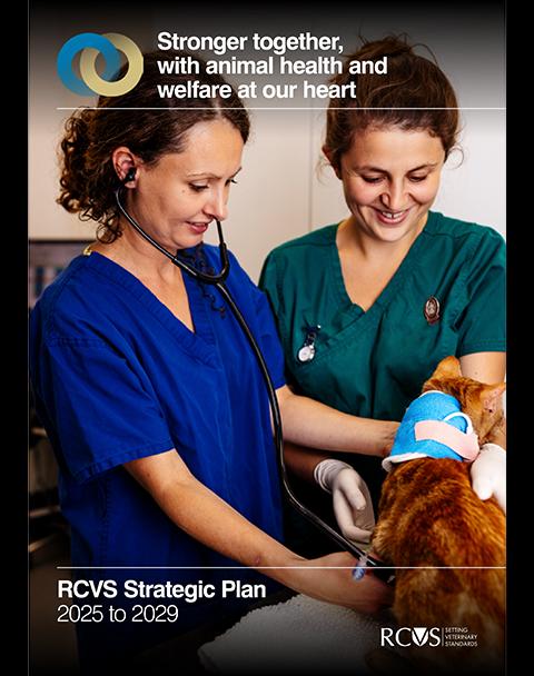 The RCVS Strategic Plan for 2025 to 2029 front cover