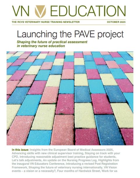 Cover image of VN Education October 2025