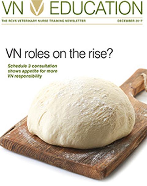 VN Education (December 2017)