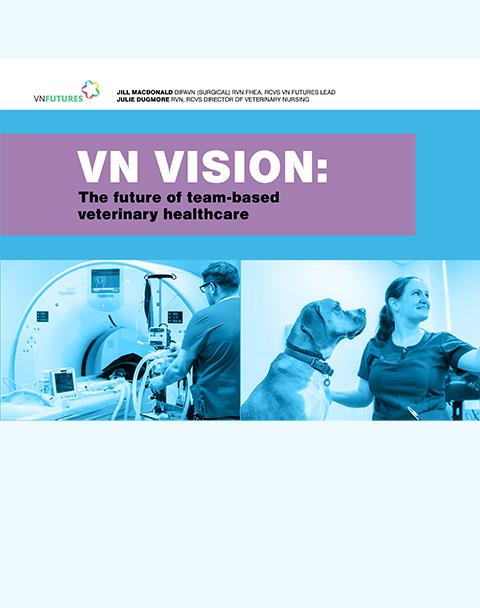 VN Vision: The future of team-based veterinary healthcare