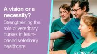 Vet teams invited to attend new series of VN Vision events on effective utilisation of vet nurses