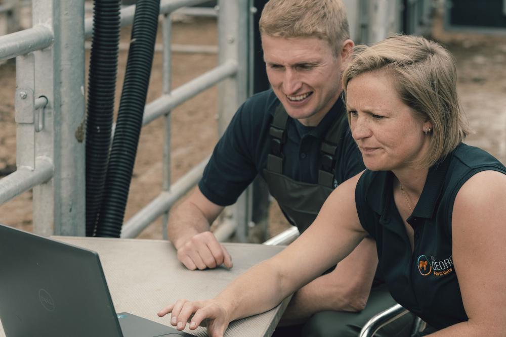 Two veterinary colleagues working together at a laptop outdoors. 