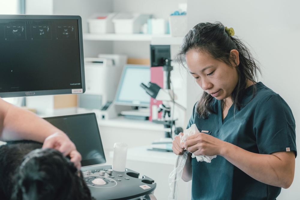 A female vet in pracitice using veterinary equipment