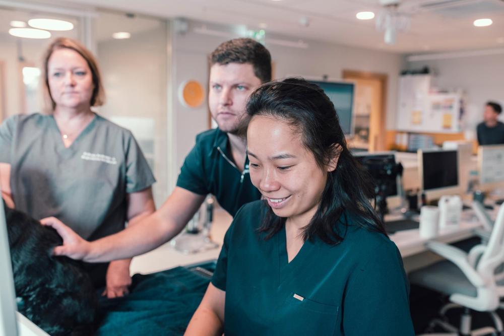 A vet and practice staff look at a computer