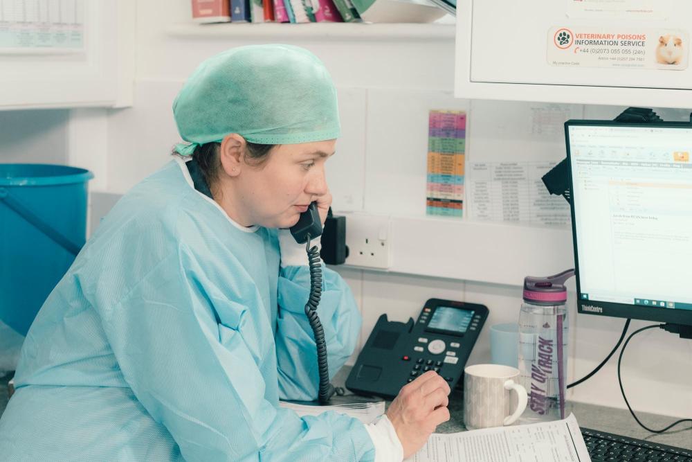 A veterinary professional in protective surgical uniform answering the phone