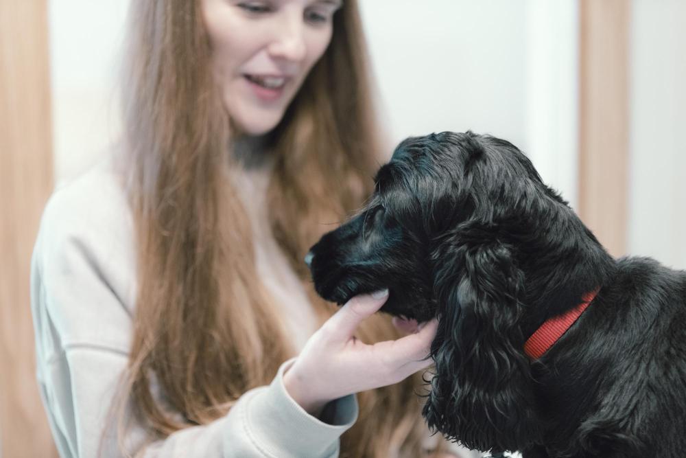 Photograph of a woman gently holding a black dog with a red collar.