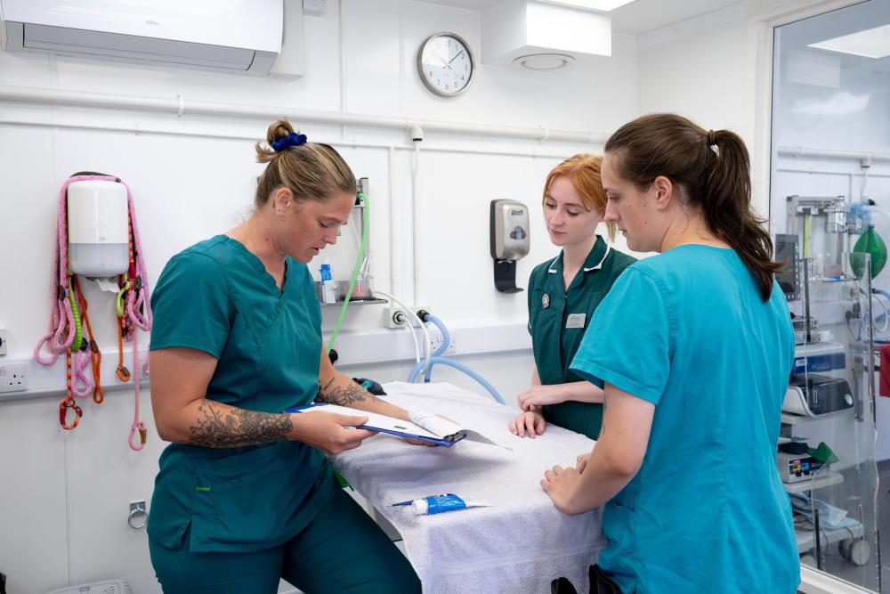 Three veterinary professionals in blue scrubs standing round an examination table